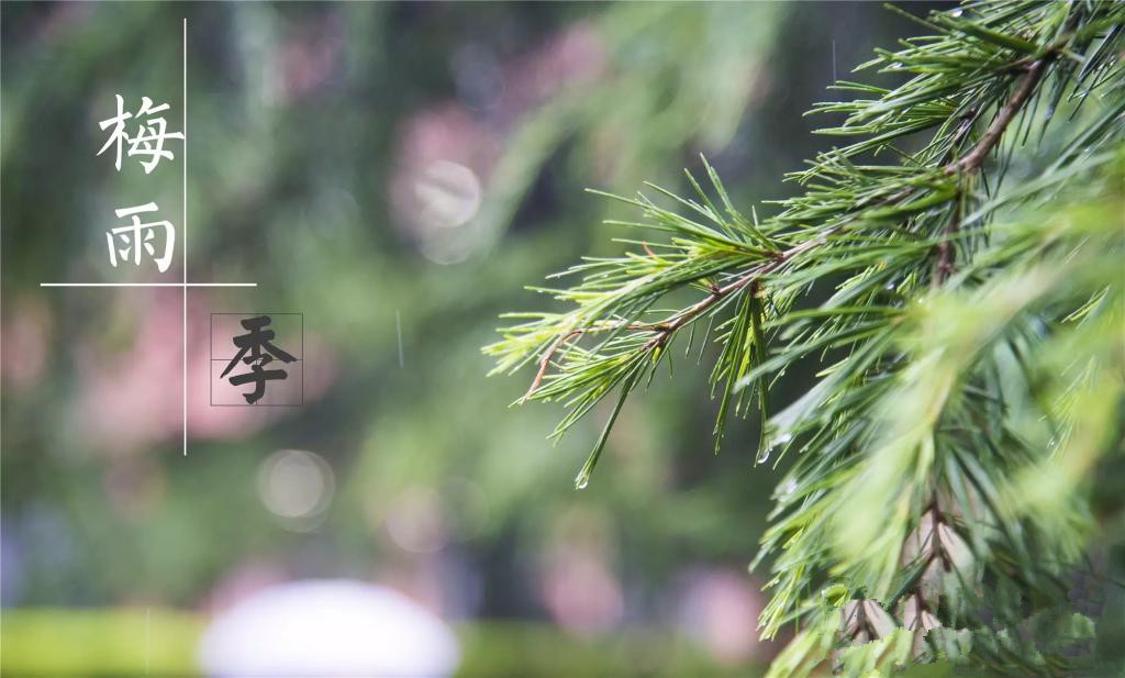 雨季到來(lái)，涂料施工需注意哪些問(wèn)題